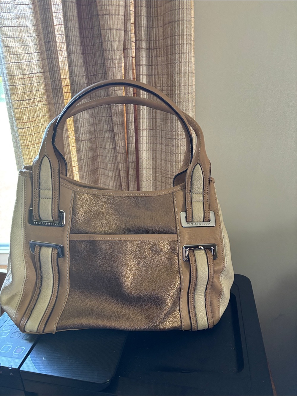 Tignanello metallic leather handbag